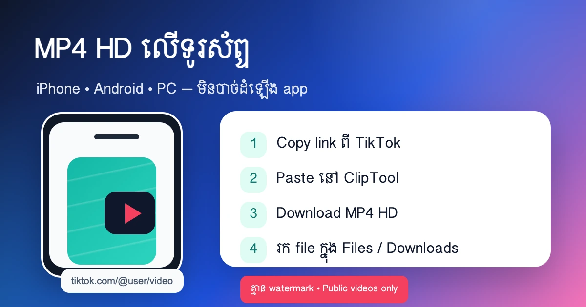កម្មវិធីដោនឡូតវីដេអូពី TikTok ជា MP4 HD គ្មាន watermark លើទូរស័ព្ទ